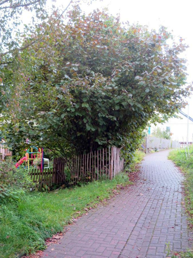 Sonnige Fachwerkwohnung Alfter Exterior photo